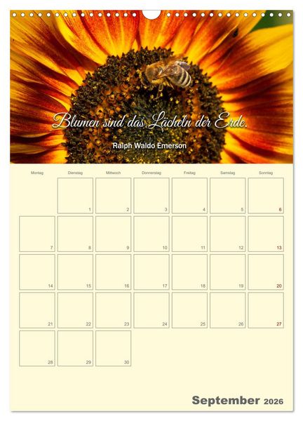 Produktbild: Gartenliebe (Wandkalender 2026 DIN A3 hoch), CALVENDO Monatskalender