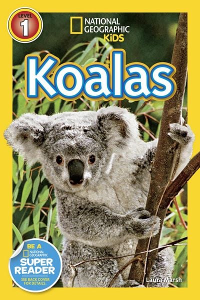 Produktbild: Koalas (National Geographic Kids Readers, Level 1)