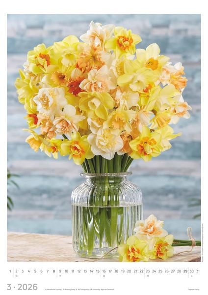 Produktbild: Blumen 2026 - Bildkalender A3 (29,7x42 cm) - Flowers - mit Feiertagen (DE/AT/CH) - Wandkalender - Blumenkalender