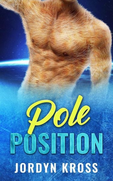 Produktbild: Pole Position (Uhraervi Brothers, #3)