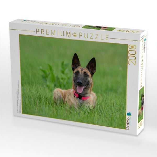 Produktbild: CALVENDO Puzzle Ein Motiv aus dem Kalender Traumhund Malinois | 2000 Teile Lege-Gr&ouml;&szlig;e 90x67cm Foto-Puzzle f&uuml;r gl&uuml;ckliche Stunden
