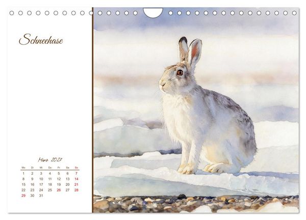 Produktbild: Tiere in Skandinaviens Wildnis (Wandkalender 2027 DIN A4 quer), CALVENDO Monatskalender