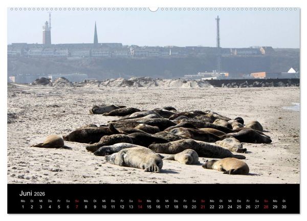 Produktbild: Helgoland (hochwertiger Premium Wandkalender 2026 DIN A2 quer), Kunstdruck in Hochglanz
