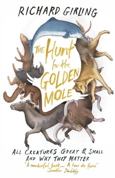 Produktbild: The Hunt for the Golden Mole