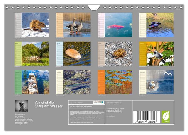 Produktbild: Wir sind die Stars am Wasser (Wandkalender 2026 DIN A4 quer), CALVENDO Monatskalender