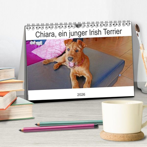 Produktbild: Chiara, ein junger Irish Terrier (Tischkalender 2026 DIN A5 quer), CALVENDO Monatskalender
