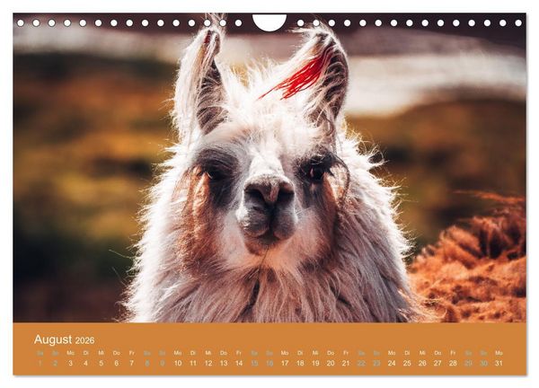 Produktbild: Wildes Leben - Ein Streifzug auf Zehenspitzen (Wandkalender 2026 DIN A4 quer), CALVENDO Monatskalender