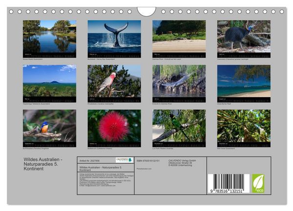 Produktbild: Wildes Australien - Naturparadies 5. Kontinent (Wandkalender 2026 DIN A4 quer), CALVENDO Monatskalender