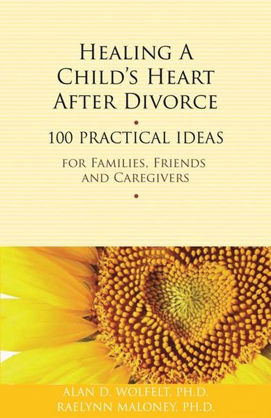 Produktbild: Healing a Child's Heart After Divorce