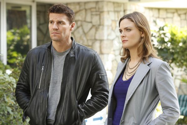 Produktbild: Bones - Season 5 [6 DVDs]