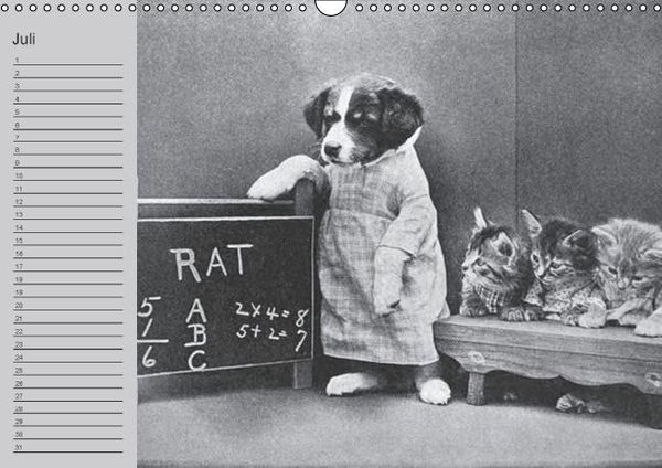 Produktbild: Katzen und Hunde - Nostalgie auf Pfoten (Wandkalender immerw&auml;hrend DIN A3 quer)