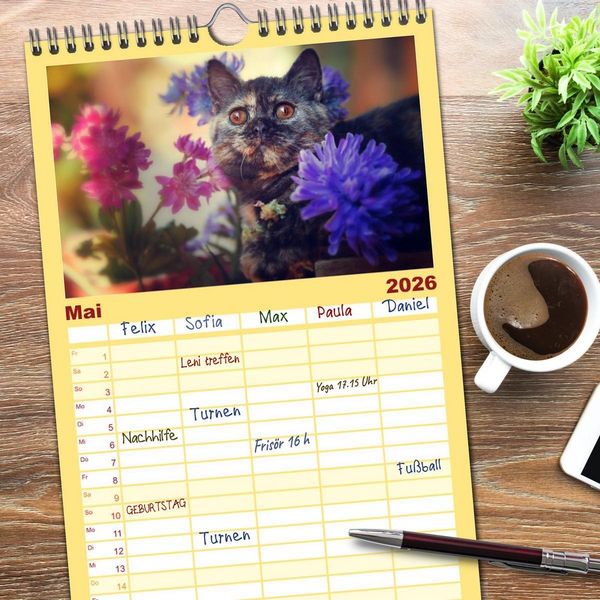 Produktbild: Familienplaner 2026 - Niedliche BKH Katzenkinder mit 5 Spalten (Wandkalender, 21 x 45 cm) CALVENDO