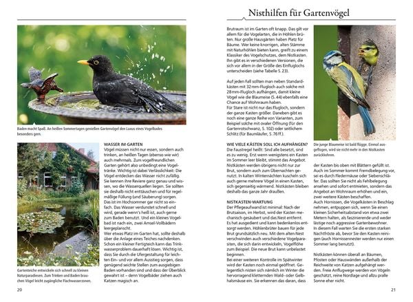 Produktbild: Welcher Gartenvogel ist das?