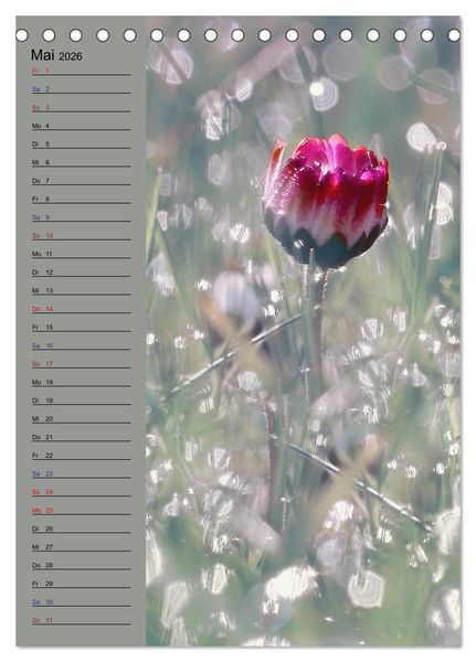 Produktbild: Pastell-Zauber (Tischkalender 2026 DIN A5 hoch), CALVENDO Monatskalender