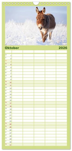Produktbild: Familienplaner 2026 - Das Esel-Paradies - Hunde und andere Feunde mit 5 Spalten (Wandkalender, 21 x 45 cm) CALVENDO