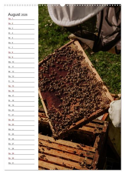 Produktbild: Naturheilmittel Honig - Kalender & Terminplaner (hochwertiger Premium Wandkalender 2026 DIN A2 hoch), Kunstdruck in Hochglanz