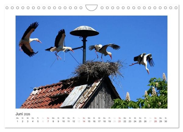 Produktbild: Das Weserbergland (Wandkalender 2026 DIN A4 quer), CALVENDO Monatskalender