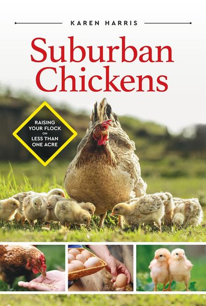 Produktbild: Suburban Chickens: Raising Your Flock on Less Than One Acre