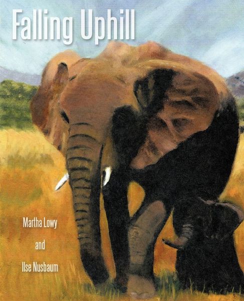 Produktbild: Falling Uphill