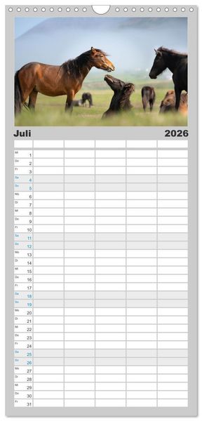 Produktbild: Familienplaner 2026 - Islandpferde Kalender - Pferde von der Insel aus Feuer und Eis mit 5 Spalten (Wandkalender, 21 x 45 cm) CALVENDO