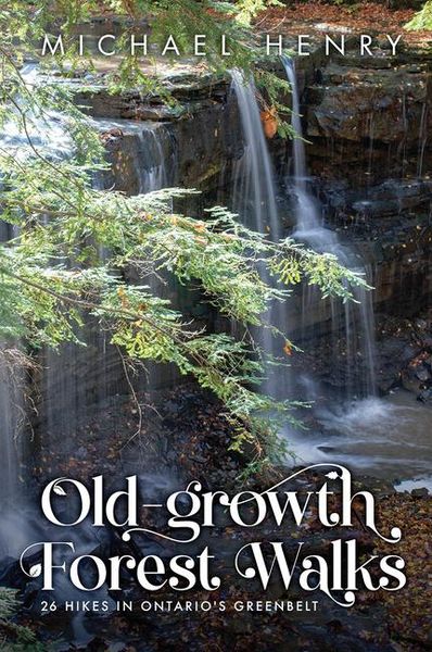 Produktbild: Old-Growth Forest Walks