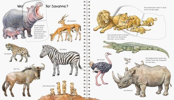 Produktbild: Wieso? Weshalb? Warum? Sonderband - Mein junior-Lexikon: Tiere