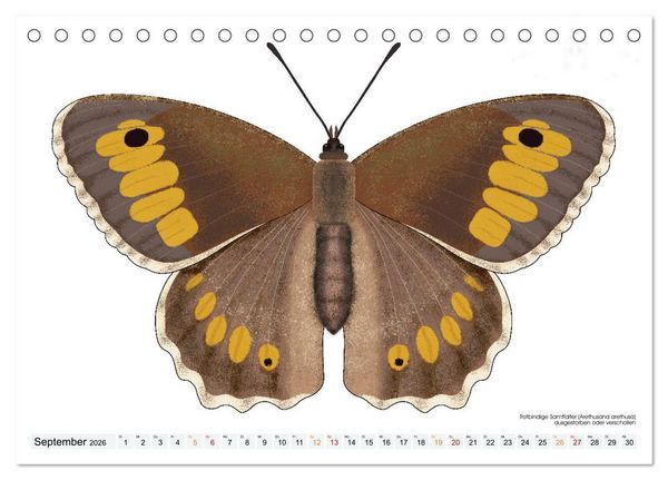 Produktbild: Schmetterlinge illustriert (Tischkalender 2026 DIN A5 quer), CALVENDO Monatskalender