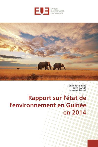 Produktbild: Rapport sur l'&eacute;tat de l'environnement en Guin&eacute;e en 2014