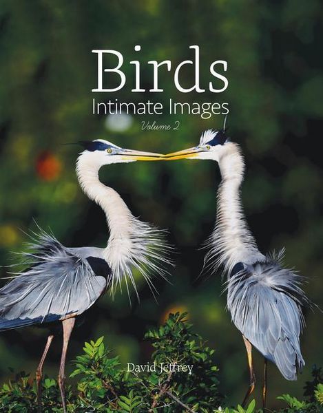 Produktbild: Birds: Intimate Images Volume 2