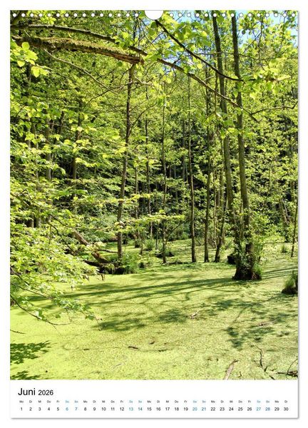 Produktbild: Insel R&uuml;gen - Kreide, Landschaft, Leuchtt&uuml;rme (Wandkalender 2026 DIN A3 hoch), CALVENDO Monatskalender
