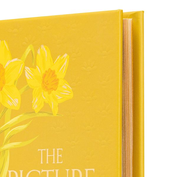 Produktbild: The Picture of Dorian Gray (Special Edition)