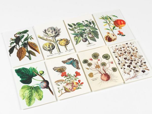 Produktbild: Natural History