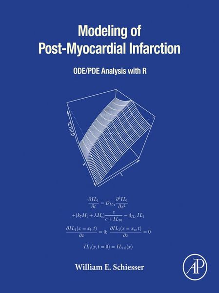Produktbild: Modeling of Post-Myocardial Infarction