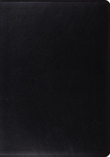Produktbild: Study Bible-ESV