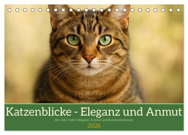 Produktbild: Katzenblicke &ndash; Eleganz und Anmut (Tischkalender 2026 DIN A5 quer), CALVENDO Monatskalender
