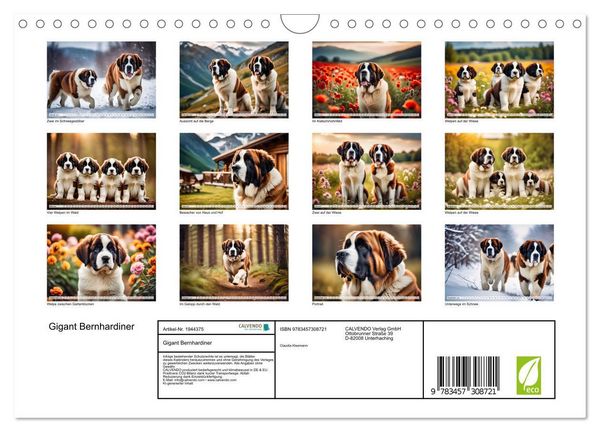 Produktbild: Gigant Bernhardiner (Wandkalender 2026 DIN A4 quer), CALVENDO Monatskalender