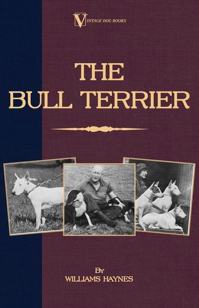 Produktbild: The Bull Terrier