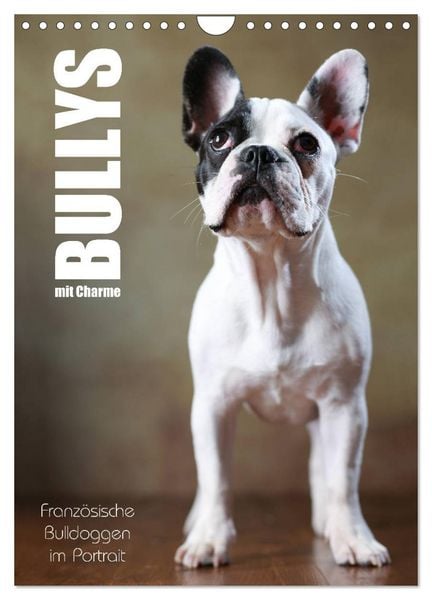 Produktbild: Bullys mit Charme - Franz&ouml;sische Bulldoggen im Portrait (Wandkalender 2026 DIN A4 hoch), CALVENDO Monatskalender
