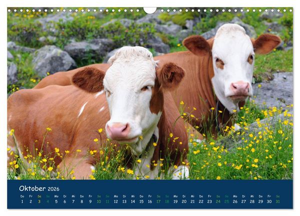Produktbild: Bergwelt Hohe Tauern - Wandergenuss in alpiner Landschaft (Wandkalender 2026 DIN A3 quer), CALVENDO Monatskalender