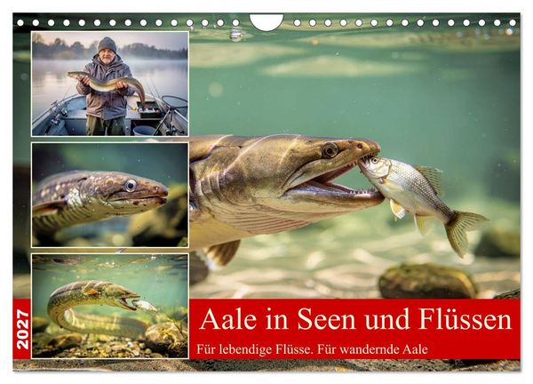 Aale in Seen und Flüssen (Wandkalender 2027 DIN A4 quer), CALVENDO Monatskalender