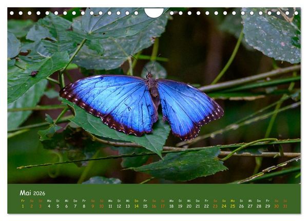 Produktbild: Costa Rica - Naturparadies zwischen Karibik und Pazifik (Wandkalender 2026 DIN A4 quer), CALVENDO Monatskalender