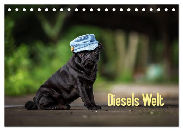 Produktbild: Diesels Welt (Tischkalender 2026 DIN A5 quer), CALVENDO Monatskalender