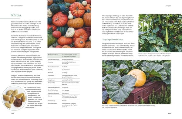 Produktbild: Der optimale Gem&uuml;segarten