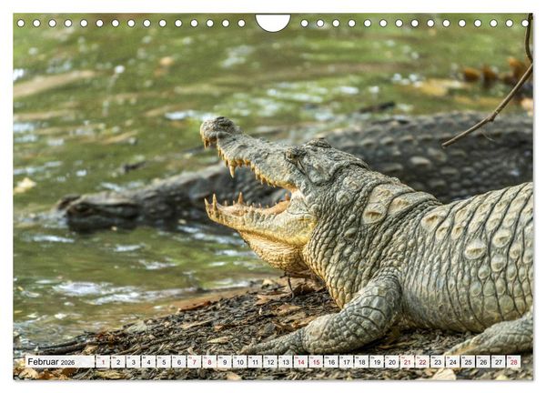 Produktbild: Westafrika - The Gambia (Wandkalender 2026 DIN A4 quer), CALVENDO Monatskalender