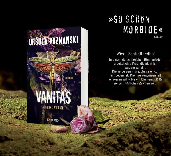 Produktbild: Vanitas - Grau wie Asche