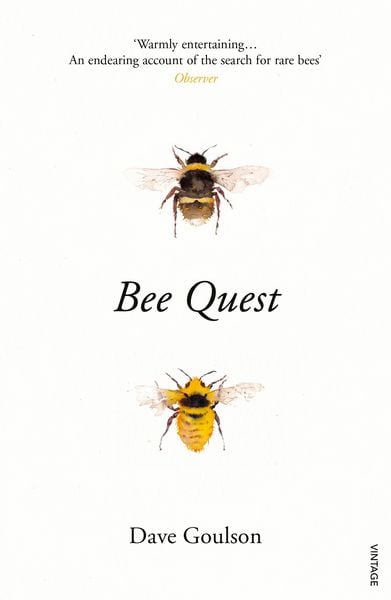 Produktbild: Bee Quest