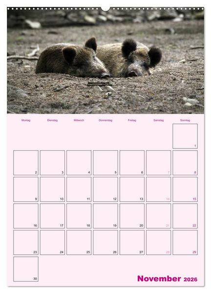 Produktbild: Schweinischer Terminplaner (Wandkalender 2026 DIN A2 hoch), CALVENDO Monatskalender