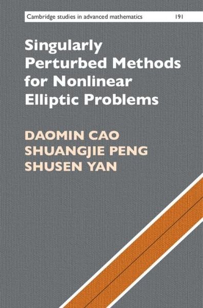 Produktbild: Singularly Perturbed Methods for Nonlinear Elliptic Problems
