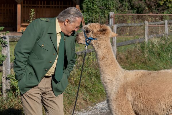 Produktbild: 2Hubert ohne Staller - Staffel 12 [2 BRs]
