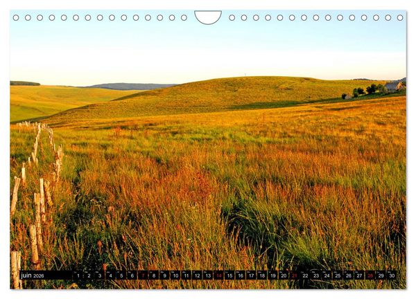 Produktbild: Collection Terre AUBRAC (Calendrier mural 2026 DIN A4 vertical), CALVENDO calendrier mensuel